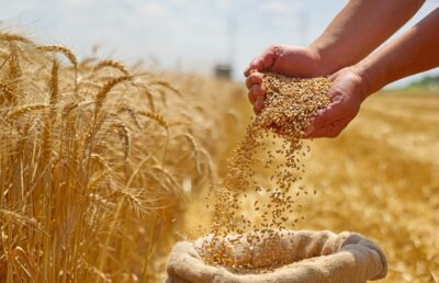 Achieve Higher ROI with Sustainable Farming Methods