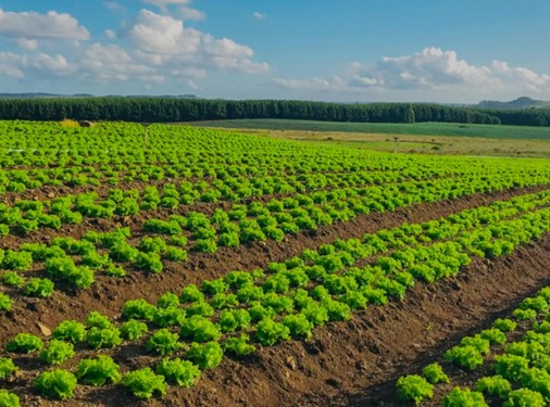 farmland 4
