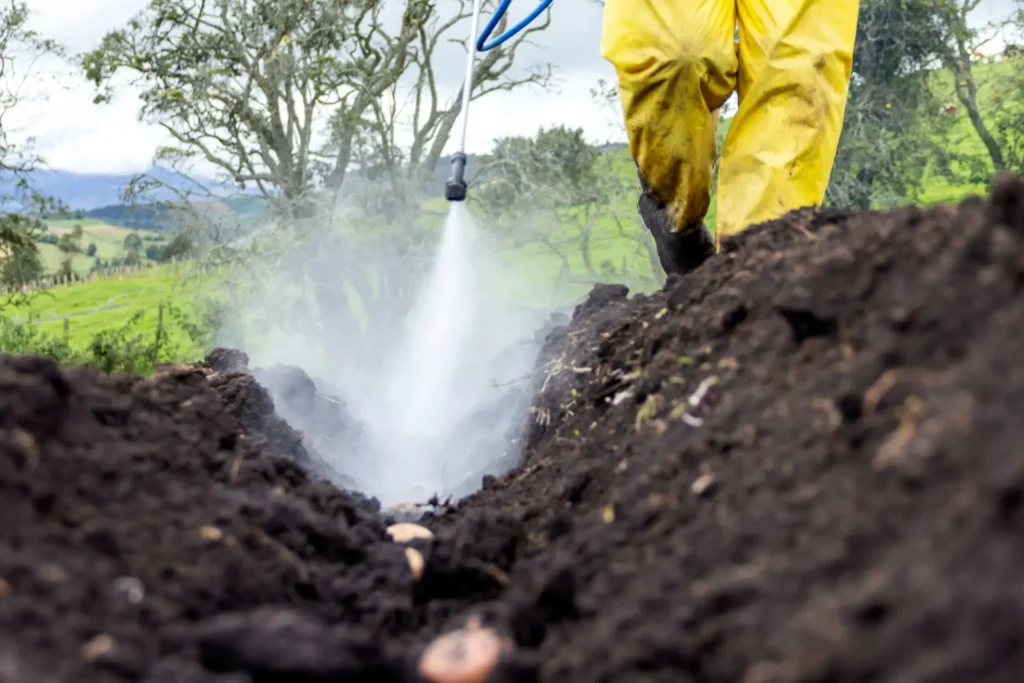 Farmer applying sustainable soil fumigation alternative to improve soil health and crop yield in organic farming.
