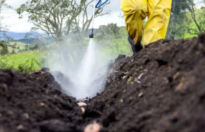Optimizing Soil Fumigation Practices for Strawberries, Potatoes, and Onions