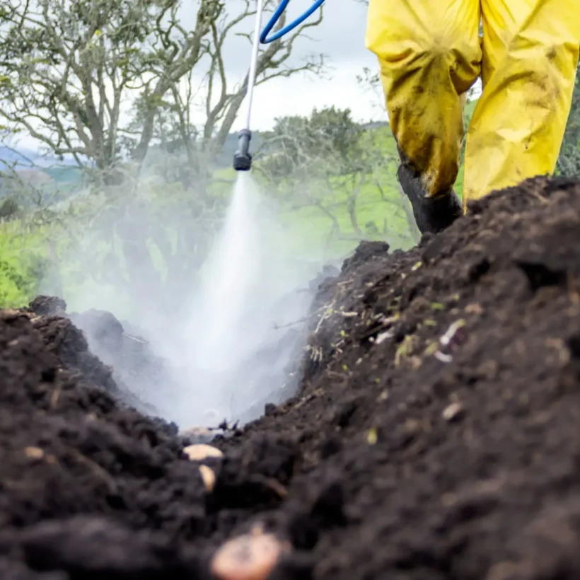 Farmer applying sustainable soil fumigation alternative to improve soil health and crop yield in organic farming.