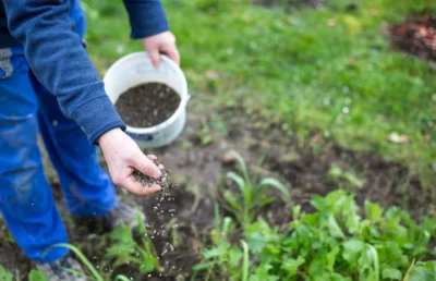 Improving Fertilizer Efficiency Through Smart Nutrient Management Programs