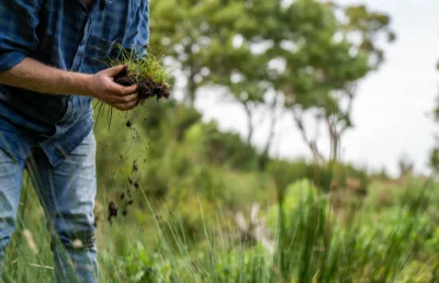 What Happens to Crop Residue After Harvest? A Look at Mineralization